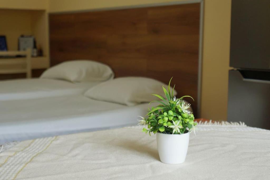 Alle'S M Shyri Studio Apartment Tirana Zewnętrze zdjęcie