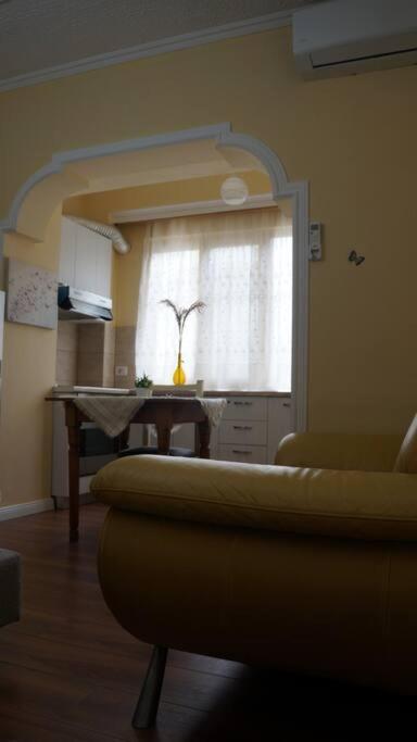 Alle'S M Shyri Studio Apartment Tirana Zewnętrze zdjęcie