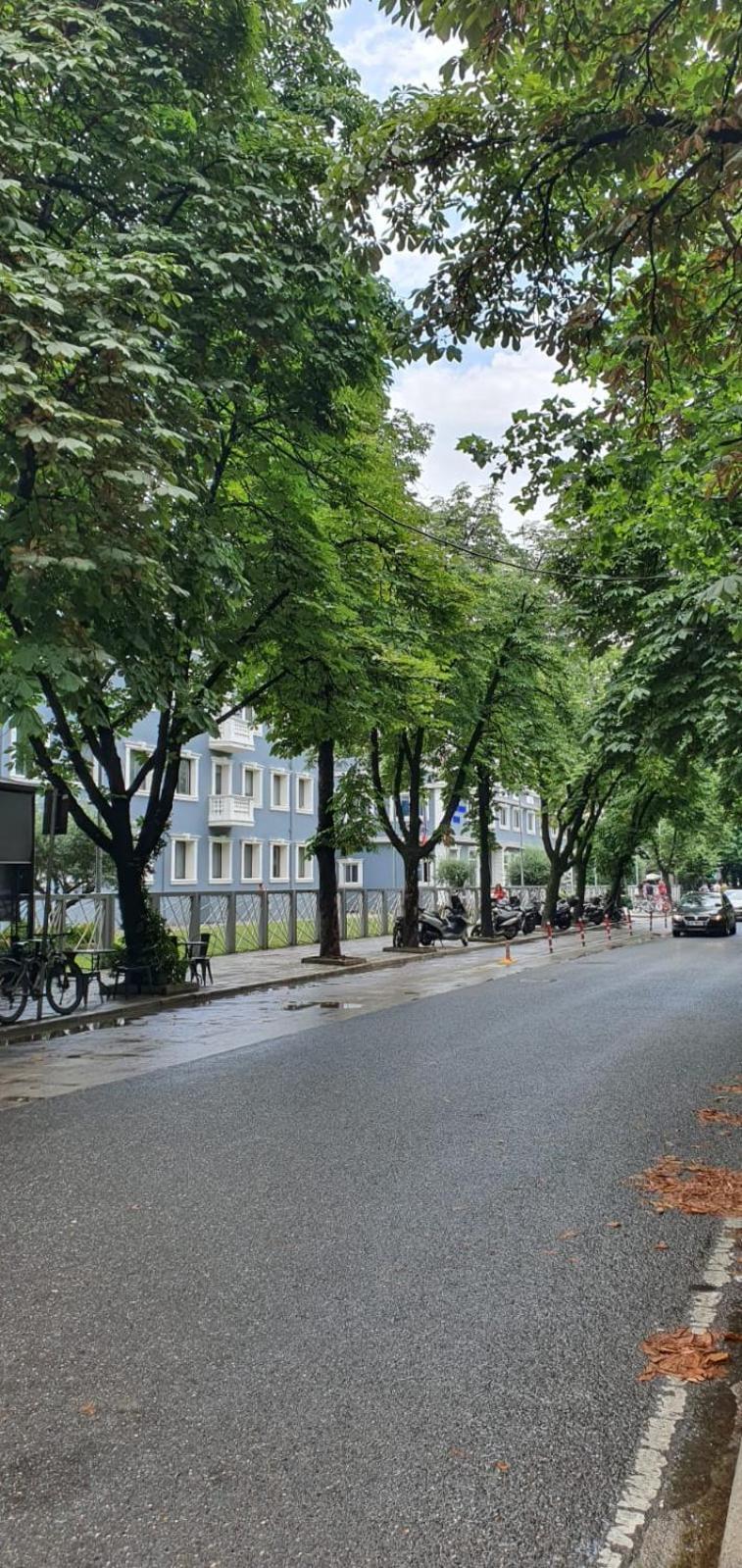 Alle'S M Shyri Studio Apartment Tirana Zewnętrze zdjęcie