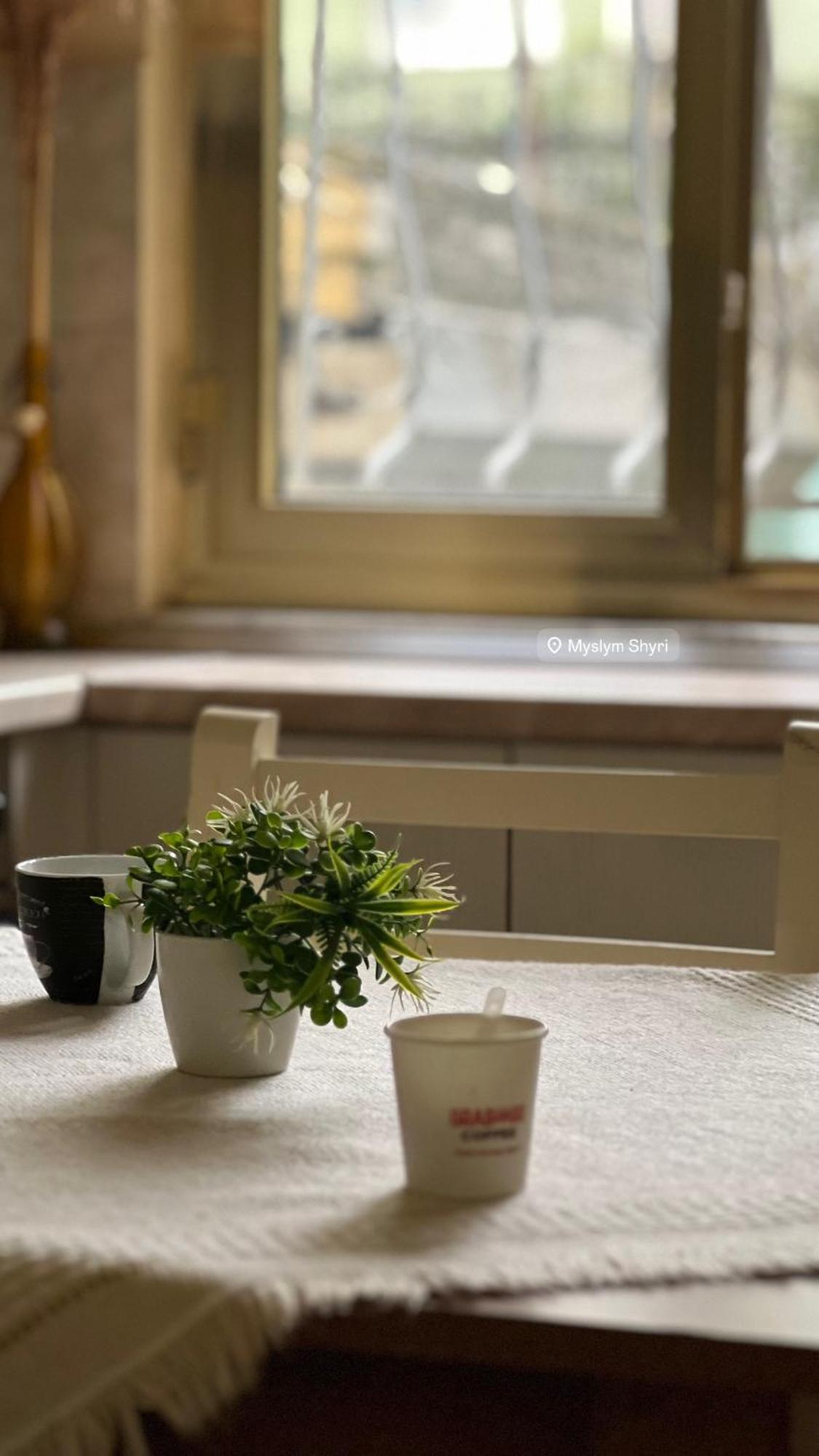 Alle'S M Shyri Studio Apartment Tirana Zewnętrze zdjęcie